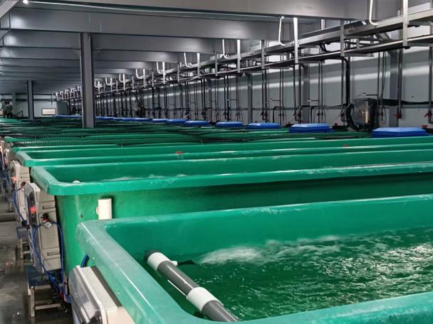 天津工厂化水产养殖物联网